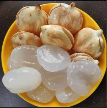 Manfaat Buah Lontar untuk Kesehatan