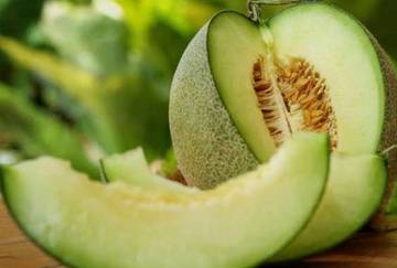 Kandungan Nutrisi dalam Buah Melon