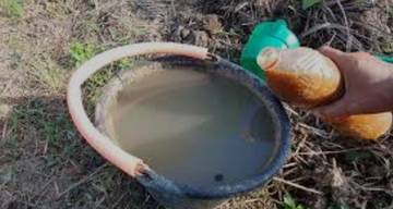 Pestisida Nabati, Solusi Ramah Lingkungan untuk Pertanian Sehat