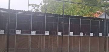 Ring AKN Bird Farm Sampang Harumkan Nama Madura