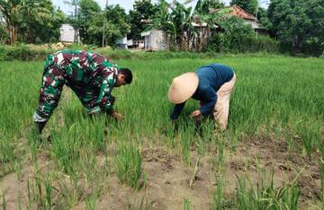 Kecamatan Torjun Sampang Miliki Keunggulan Geografis