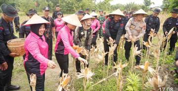 Sat Brimob Polda Jateng Panen Raya di Sragen