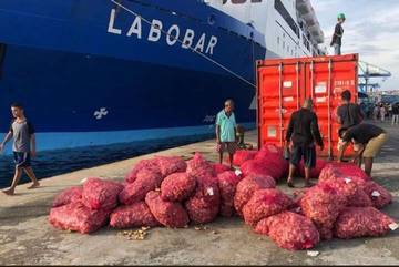 Pemkot Ambon perluas pelabuhan peti kemas, Gandeng PT pelindo