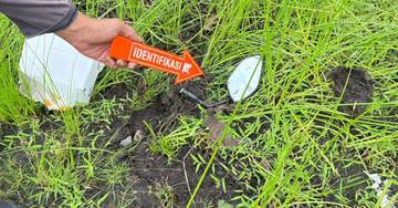 Satgas Ops Damai Cartenz Dalami Kasus Pembunuhan Warga