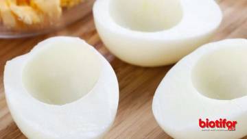 Manfaat putih telur pasca operasi