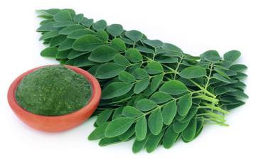 Daun Kelor, Nutrisi andalan keluarga