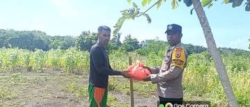 Kapolsek Serahkan Pestisida Dan Biibit Jagung Kepada Warga