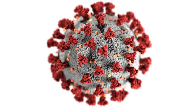 Waspada! Kenali Virus Influenza H3N2 Subclade K - RRI.co.id