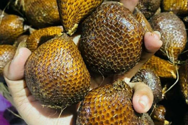 Aneka Ragam Salak: Buah Tropis Kaya Manfaat