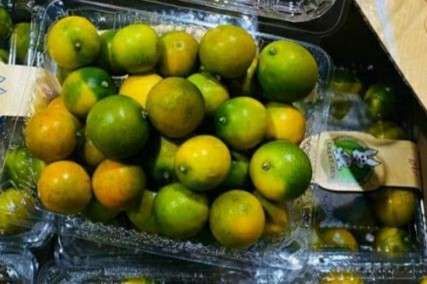 Jeruk Kimkit Madu: Buah Mini dengan Segudang Manfaat