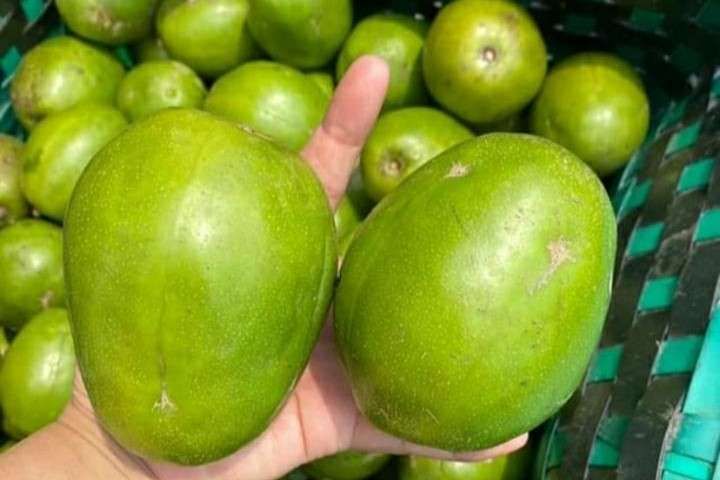 Jenis-Jenis Buah Kedondong