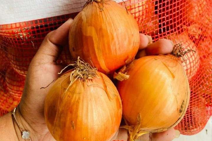 Negara Penghasil Bawang Bombay Terbesar di Dunia