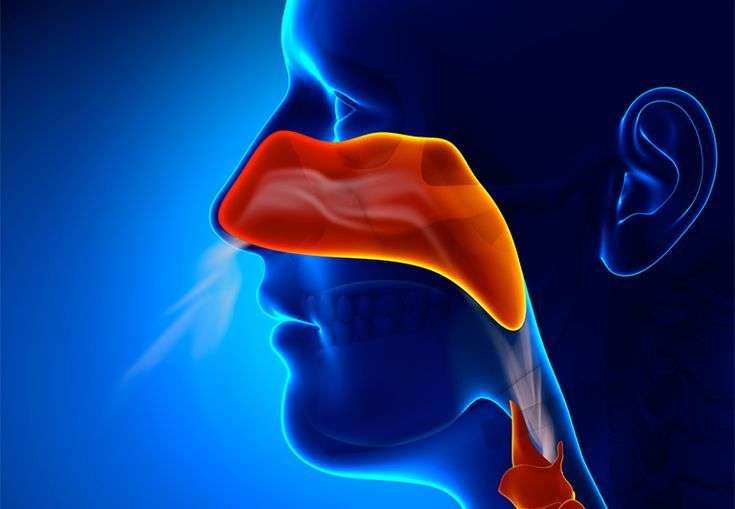 Mengenal Sinusitis: Penyebab, Gejala, dan Cara Penyembuhan