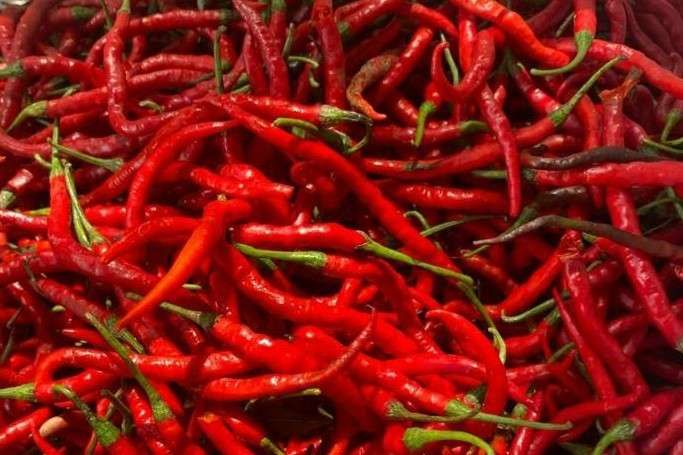 Inovasi Olahan Cabai Merah Keriting