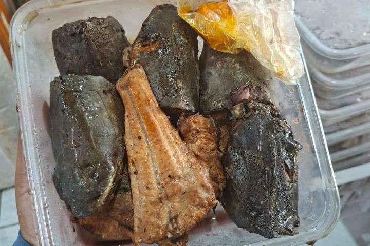 Cara Menyimpan Ikan Manyung Asap agar Tahan Lama