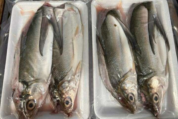 Resep Praktis Masakan Rumahan dengan Bandeng Tanpa Duri