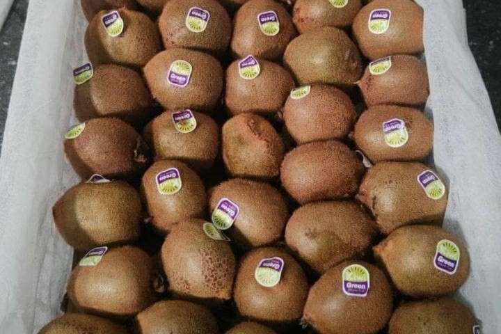 Tips Memilih Kiwi Green yang Matang dan Manis