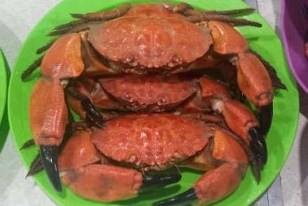 Cara Mengolah Kepiting agar Tidak Amis dan Lezat