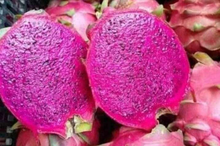 Cara Memilih Buah Naga Merah yang Matang Manis