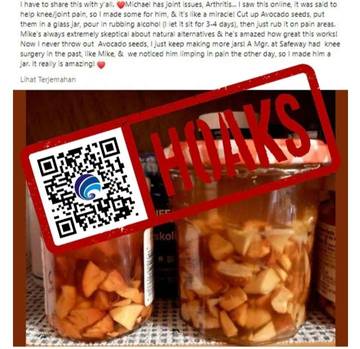 Cairan Rendaman Biji Alpukat dan Alkohol Dapat Menjadi Obat Oles Nyeri Sendi.