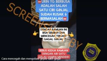 Hoaks, Rebusan Alang-alang dan Setengah Jeruk Nipis Bisa Cegah dan Sembuhkan Gagal Ginjal
