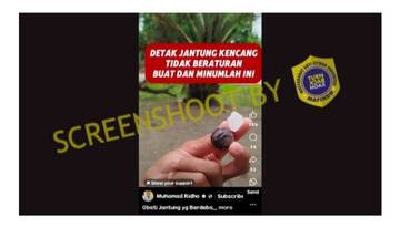 Hoaks, Buah Pala dan Gula Batu Mampu Mengatasi Jantung Berdebar