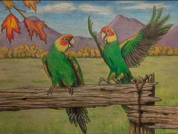 Kematian Burung Terakhir Carolina Parakeet Tahun 1918