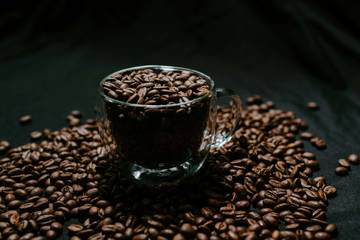 Kopi Robusta: Pahit Khas dengan Sejarah Panjang