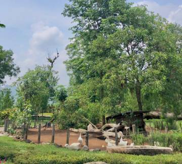 Tempat Wisata Yang Menyimpan Harmoni Alam dan Satwa