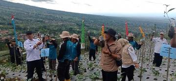 Perluas Lahan Kopi, Distangan Magelang Sasar Lereng Gunung