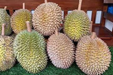 Cara Menyimpan Durian Agar Aroma dan Rasanya Terjaga
