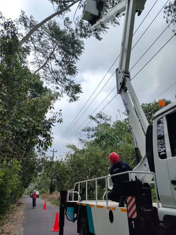 Angin Kencang di DIY, PLN Pulihkan 21 Penyulang