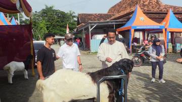 Dongkrak Kualitas Ternak, Pemkab Rembang Apresiasi Kontes Kambing