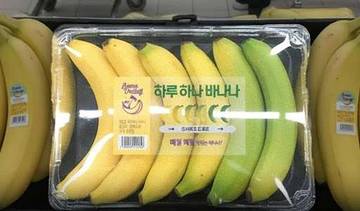 Unik, Menata Deretan Pisang Agar Tak Cepat Busuk