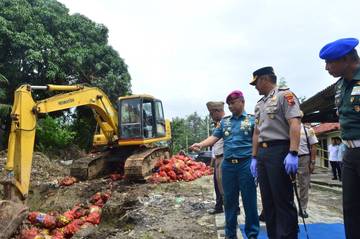 Lanal Semarang Kawal Pemusnahan Ribuan Bawang Bombay Ilegal