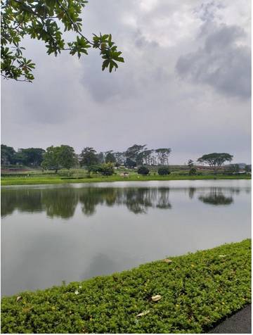 Hijau yang Memenangkan di Tepian Danau Kota