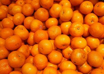 "Ponkan", Jeruk Mandarin Imlek Paling Populer