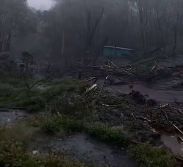 Cegah Longsor Berulang, Pemprov Rehabilitasi Hutan Gunung Slamet