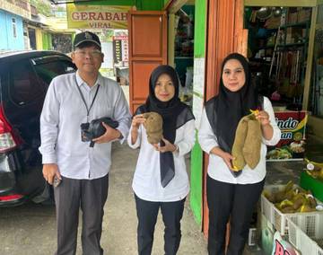 Ubi Yakon Dieng Disiapkan Jadi Produk Indikasi Geografis