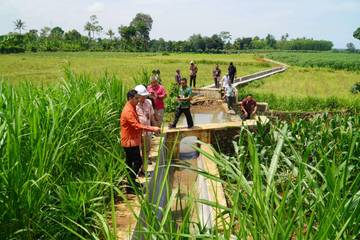 Sawah Pascabanjir Diinventarisasi, Pemkab Jepara Ajukan Bantuan