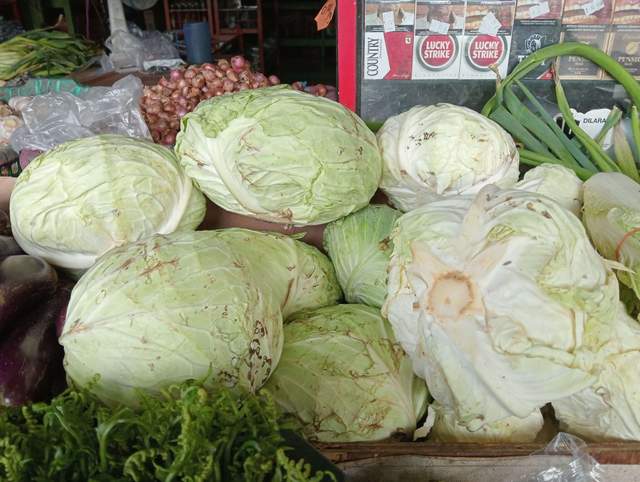 Kubis Efektif Turunkan Peradangan dalam Tubuh 