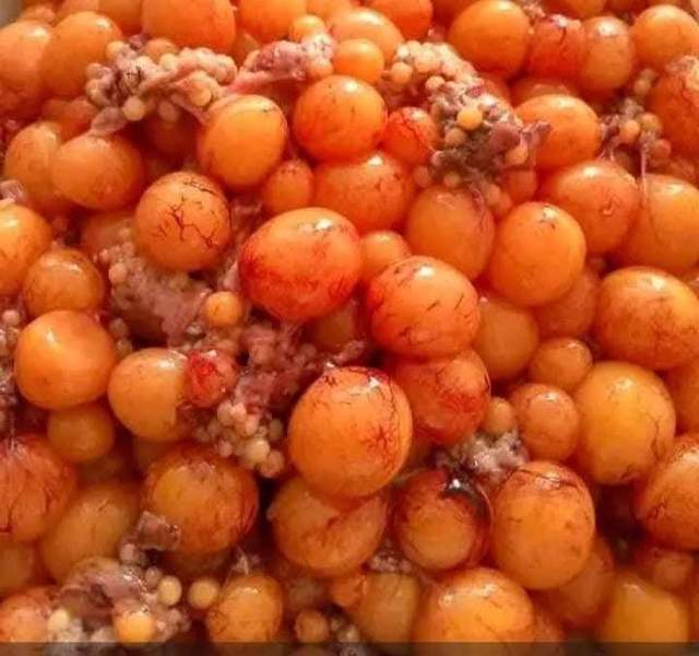 Khasiat Telur Uritan Ayam Bagi Kesehatan 