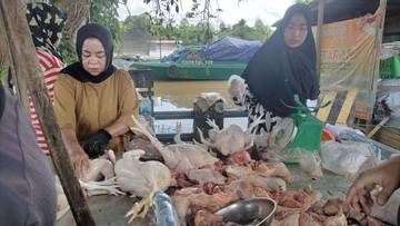 Harga Ayam Potong di Kutai Barat Turun 35.000/Kg
