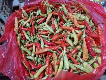 Pasca Lebaran Harga Cabai Rawit Masih Tinggi 