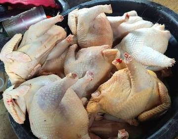 Jelang Idul Adha Harga Ayam Potong Naik