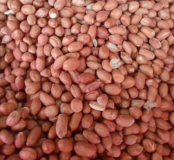 Fakta Kacang Bisa Menimbulkan Jerawat 