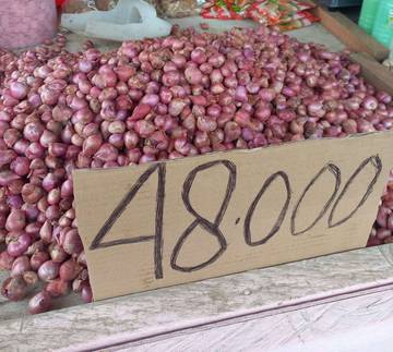 Harga Bawang Merah di Kubar Turun Rp48 Ribu 