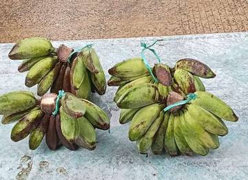 Pisang Gapit, Olahan Kreatif Pisang Kepok