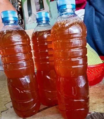 Tips Mudah Membedakan Madu Asli dan Palsu