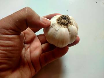 Kenali Jenis Jenis Bawang Agar Tidak Tertipu